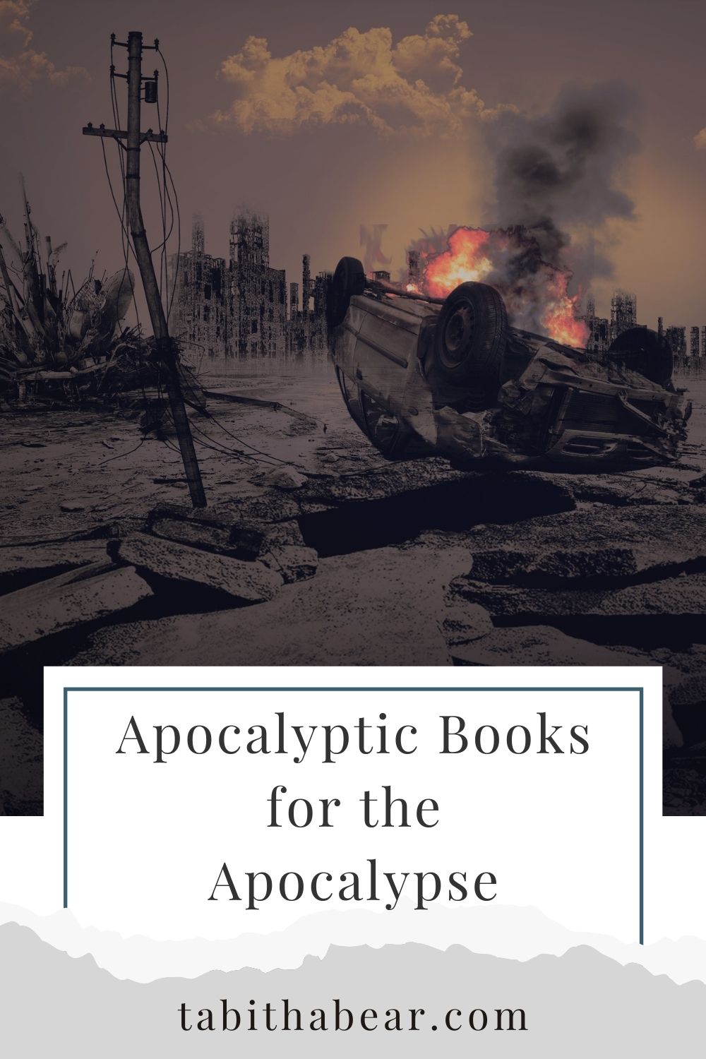 Apocalyptic Books for the Apocalypse - Tabitha Bear