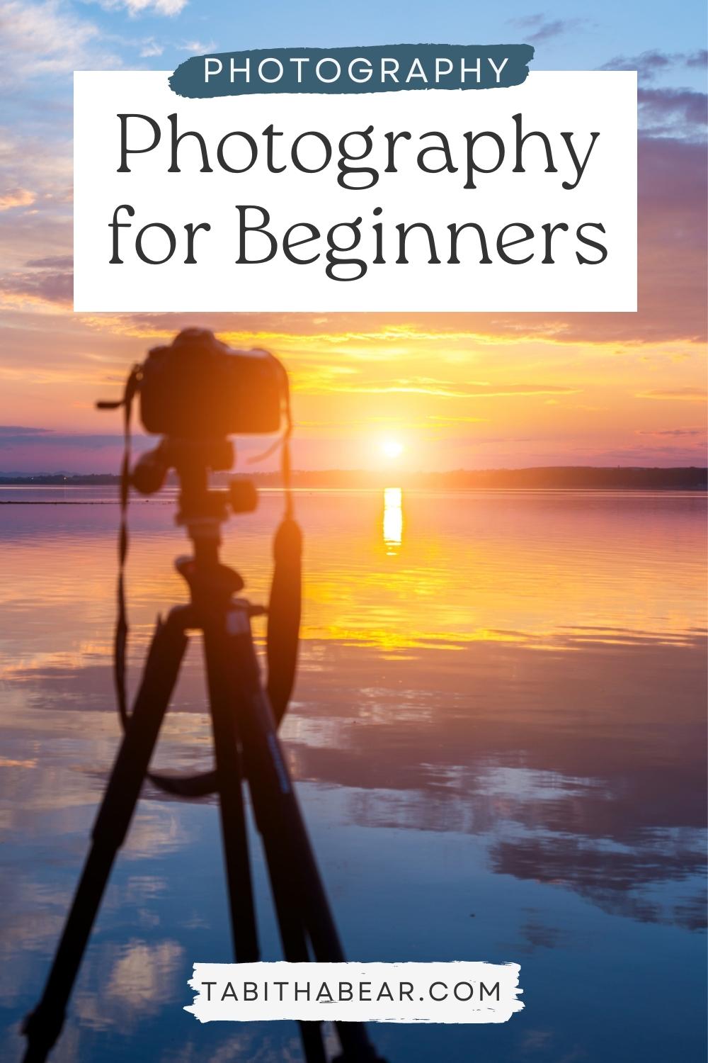 Beginner's Guide To Photography: An Introduction - Tabitha Bear